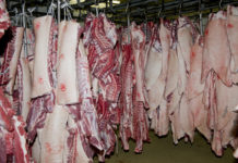 China: Exportöffnung für Schweinefleisch steht bevor Bald könnte Schweinefleisch nach China exportiert werden.