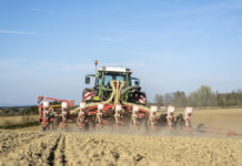 Raps im Sojasog, Weizen und Mais befestigt Die Maisaussaat in Frankreich ist heuer witterungsbedingt verzögert. Der Entwicklungsstand der Bestände liegt um elf Tage hinter dem Schnitt der vergangenen fünf Jahre.