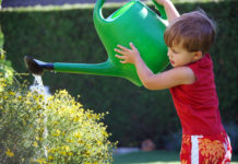 So lassen Pflanzen die Köpfe nicht hängen Die Erde und damit die Wasserspeicherfähigkeit in Töpfen und Kästen ist begrenzt