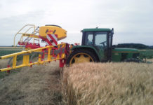 Schon jetzt den Anbau von Zwischenfrüchten planen Vordruschsaat in Neckenmarkt Ende Juni 2015 in den stehenden Weizen - Aussaat mittels pneumatischem Streuer. Das Verfahren eignet sich für Flächen ohne Wurzelunkräuter bzw. ohne Mäusedruck.