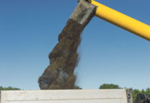 Raps: Bullenrallye für Vermarktung nutzen? Eine Teilvermarktung der bevorstehenden Ernte sollte nun überlegt werden.