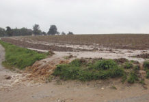 Starkniederschläge und ihr Einfluss auf landwirtschaftliche Kulturen Durch die starken Niederschläge kam es vermehrt zu Bodenabtragungen und Verschlämmungen auf Ackerflächen.