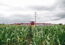 Überlassen Sie Ihren Mais nicht dem Zünsler Ende Juni bis Mitte Juli sollte der Maiszünsler bekämpft werden. Zu diesem Zeitpunkt sind die Maisbestände meist noch mit herkömmlicher Technik befahrbar.