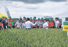 Saatbau Feldtag – neue Sorten, neue Strategien Rund 2000 Besucher informierten sich am 14. Juni 2016 auf dem Gelände des Saatbau Schauversuchs in Weikendorf über sämtliche Facetten des modernen Pflanzenbaus.