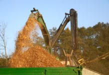 Pariser Abkommen zum Klimaschutz umsetzen Biomasse - neben Problemlöser beim Klimaschutz auch Beschäftigungsmotor im ländlichen Raum.