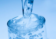 Trinkgenuss: kalorienfrei und doch aromatisch Der menschliche Körper braucht eine tägliche Flüssigkeitszufuhr