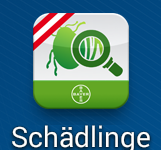 555 Fotos helfen bei der Bestimmung