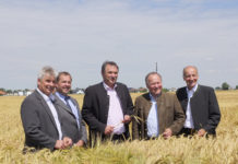 Schöne Bestände, Preise mit Fragezeichen Lokalaugenschein auf einem Wintergerstenschlag - im Bild v. l. Johann Blaimauer (RWA)