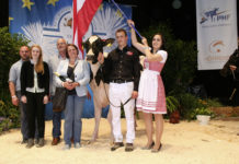 Die Holsteinkuh Naomi holte einen EM-Titel Naomi von Familie Kopf aus Mäder (Vbg.) schaffte mit dem "Vizeeuropameistertitel" den größten Erfolg in der Geschichte der österreichischen Rinderzucht.