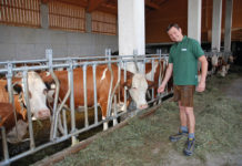“Die Milchwirtschaft ist Teil unserer Identität” Georg Horngacher im neu gebauten Stall auf der Au-Hochalm.