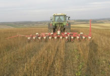 Glyphosat bleibt weitere 18 Monate zugelassen Direktsaat von Zuckerrüben - eine Anwendung von Glyphosat vor dem Anbau ermöglicht die besonders erosionsmindernden Bestellverfahren der Mulch- und Direktsaat.