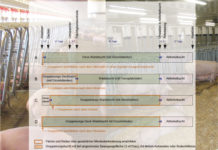 Schweinehaltung: Vier verschiedene Konzepte für den neuen Wartestall