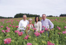 Ein Meer aus Blüten: Tradition mit Chancen Waldland-GF ÖkR Gerhard Zinner