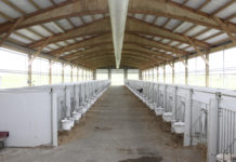 US-Farmer setzen auf die Schlauchlüftung In Kälberställen in den USA ist eine Schlauchlüftung mittlerweile Standard. Bei dem Stall im Bild verläuft der Lüftungsschlauch im Giebelbereich des Dachstuhls.