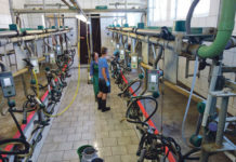 Neue Sichtweisen und Jobchancen erfahren Schnuppereinsatz als Betriebshelfer