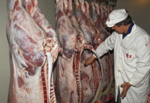 Die Ansprüche im Exportsteigen enorm Wegen der laufend höheren Standards