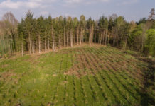 EU-Kommission schlägt konkrete Klimaziele vor Um bestmöglich zum Klimaschutz beizutragen