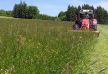 Lindner steigerte Absatz im ersten Halbjahr 384 Traktoren konnte das Tiroler Unternehmen Lindner im ersten Halbjahr 2016 verkaufen.