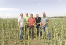 Schweres Unwetter zog Spur der Verwüstung BBK-Obmann Nikolaus Noé-Nordberg