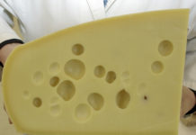 Jetzt zur Käsiade anmelden Ein handwerklicher Emmentaler zählt immer noch zur "Königsklasse" der Käsefertigung.