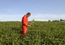 Ohne Pflanzenzucht mehr Ackerland nötig Durch Innovationen in der Pflanzenzucht können die knappen Bodenressourcen weltweit erhalten und größere Erträge pro Flächeneinheit erzielt werden.