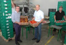 Am 8. August ist Tag der Paradeiser Am Bild in der Verpackungshalle der Vertriebsgesellschaft "Seewinkler Sonnengemüse" in Wallern - v.l.n.r.: Geschäftsführer Josef Peck und LK-Präsident Franz Stefan Hautzinger werben für Paradeiser aus heimischer Produktion