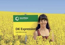 DK Expression: der Ertragssieger bei Raps Top-Erträge mit DK Expression