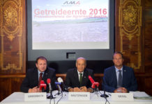 Hohe Getreideerträge, gedämpfte Nettoimporte Hohe Menge