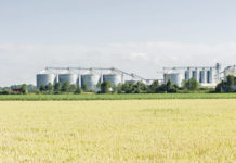 “Agrowin” – ein neues Beratungsangebot Detlef Walter leitet das Beratungsunternehmen "Agrowin" und kann auf den erfolgreichen Aufbau landwirtschaftlicher Vermarktungsdienstleistungen verweisen.