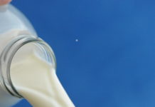 NÖM erhöht Milchpreis, senkt ihn aber für Biomilch Leichte Entspannung am Markt sorgt für die Preisanhebung bei konventioneller Milch.