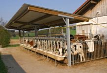 LKÖ – Maßnahmen zur Milchmengenreduktion Welche Maßnahmen zur Reduktion der Milchmenge sinnvoll sind