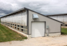 Komfortzone Kälberstall, auch für den Farmer Auf der Double S Dairy wurden 2011 vier solche Kälberställe errichtet. In jedem Stall stehen in einer Reihe 40 Kälberboxen