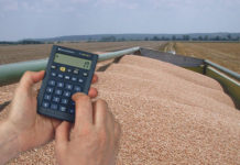 Preisfolgen der Getreideernte Bessere Auszahlungspreise sind nur in geringem Ausmaß zu erwarten