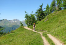 Mountainbiken auf Forststraßen als Angriff auf Eigentum und Umwelt Die aus Naturschutzgründen schmalen Forststraßen sind nicht auf freien Radverkehr ausgelegt. Die Sicherheit aller Forststraßenbenutzer wäre gefährdet