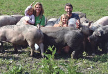 Schweine als Teil der Fruchtfolge Tiere und Menschen sind sichtlich zufrieden beim "Moar z´Bugram": Angelika (39) und Adi (40) Stadlmayr (im Bild mit den Töchtern Laura und Flora) halten derzeit 50 Freilandschweine.