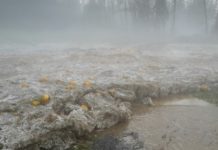 Erneut schwere Hagelunwetter in der Steiermark Betroffenes Kürbisfeld in St.Veit/Leibnitz