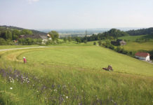 Gewässerschutz: Jetzt noch in Maßnahmen einsteigen Grundwasserschutz Grünland muss heuer beantragt werden.