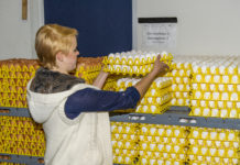 Verbrauch tierischer Lebensmittel konstant Der Selbstversorgungsgrad bei Eiern lag 2015 bei 84 Prozent.