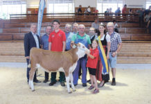 Großes Interesse an Jubiläumsversteigerung Geschäftsführung und Funktionäre des NÖ Genetik Rinderzuchtverbandes mit dem glücklichen Gewinner des Zuchtkalbes Adele