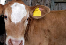 Eurotier 2016: mit Apps zum Betriebserfolg Technische Innovationen