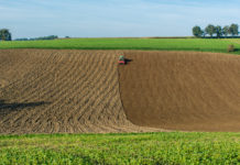 Hogans Vorschläge zur GAP-Vereinfachung Nur wer seine Flächen aktiv bewirtschaftet