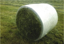 Baletite: die Folie, die das klassische Netz ersetzt Für kompakte