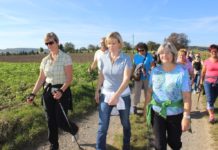 Familienwandertage und bäuerliche Schmankerl Auch heuer veranstaltet die Arge Bäuerinnen Familienwandertage.