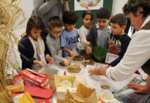 Aktion – Kindern zeigen, wo das Essen herkommt Wie fühlt sich Getreide an? Und wie wird daraus Mehl gemacht? Das durften die Kinder der Volksschule Klausenburger Straße beim Bäuerinnen-Aktionstag selbst ausprobieren.