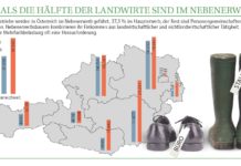 “Erwerbskombinierer bei Steuer entlasten”