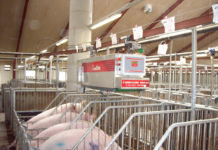 Firma Stallprofi erweitert das Sortiment Seit über 60 Jahren bietet Himel Lösungen für Landwirtschaft und Agrarindustrie.