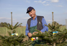 Genügend Christbäume zu stabilen Preisen Wer auf heimische Qualität und kurze Transportwege Wert legt