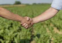 Jung und Alt – Miteinander statt gegeneinander vervielfacht die Kraft Vertrauen statt übermäßiger Kontrolle und Wertschätzung statt vernichtender Kritik sind die beste Basis für ein gutes Miteinander von Jung und Alt.