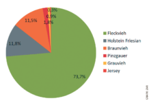 Im Durchschnitt 7425 kg Milch pro Kuh und Jahr Von den insgesamt rund 535.000 Milchkühen in Österreich stehen 428.000 unter Leistungskontrolle. Davon entfallen fast 74 % auf Fleckvieh sowie je rund 12 % auf Holstein und Braunvieh.