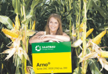 Erfolg mit Maissaatgut der Saatbau Linz Top-Sorten fürs Frühjahr